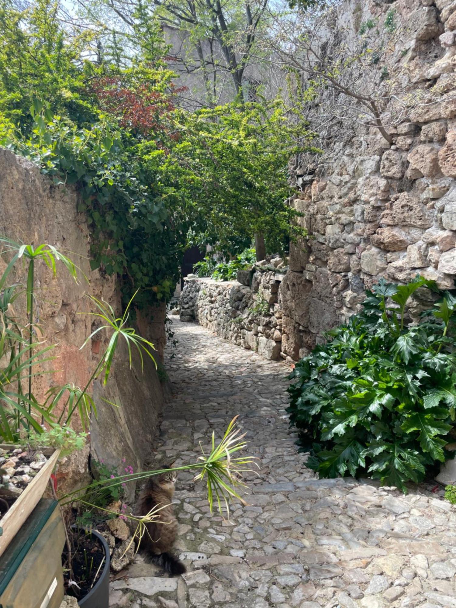 Cosy & Chill Appartements - Au Coeur Du Village De Cotignac, En Provence Eksteriør bilde