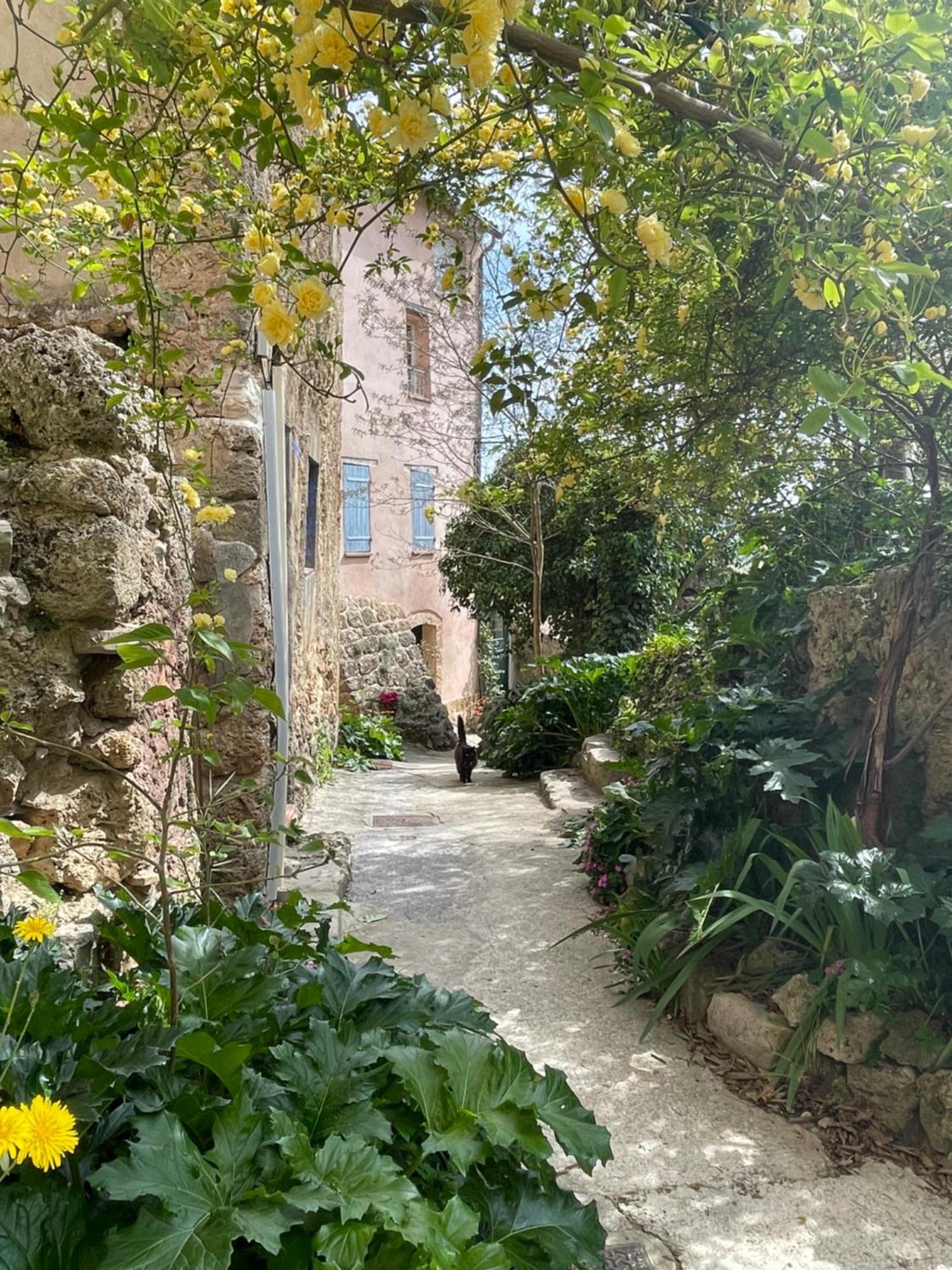 Cosy & Chill Appartements - Au Coeur Du Village De Cotignac, En Provence Eksteriør bilde