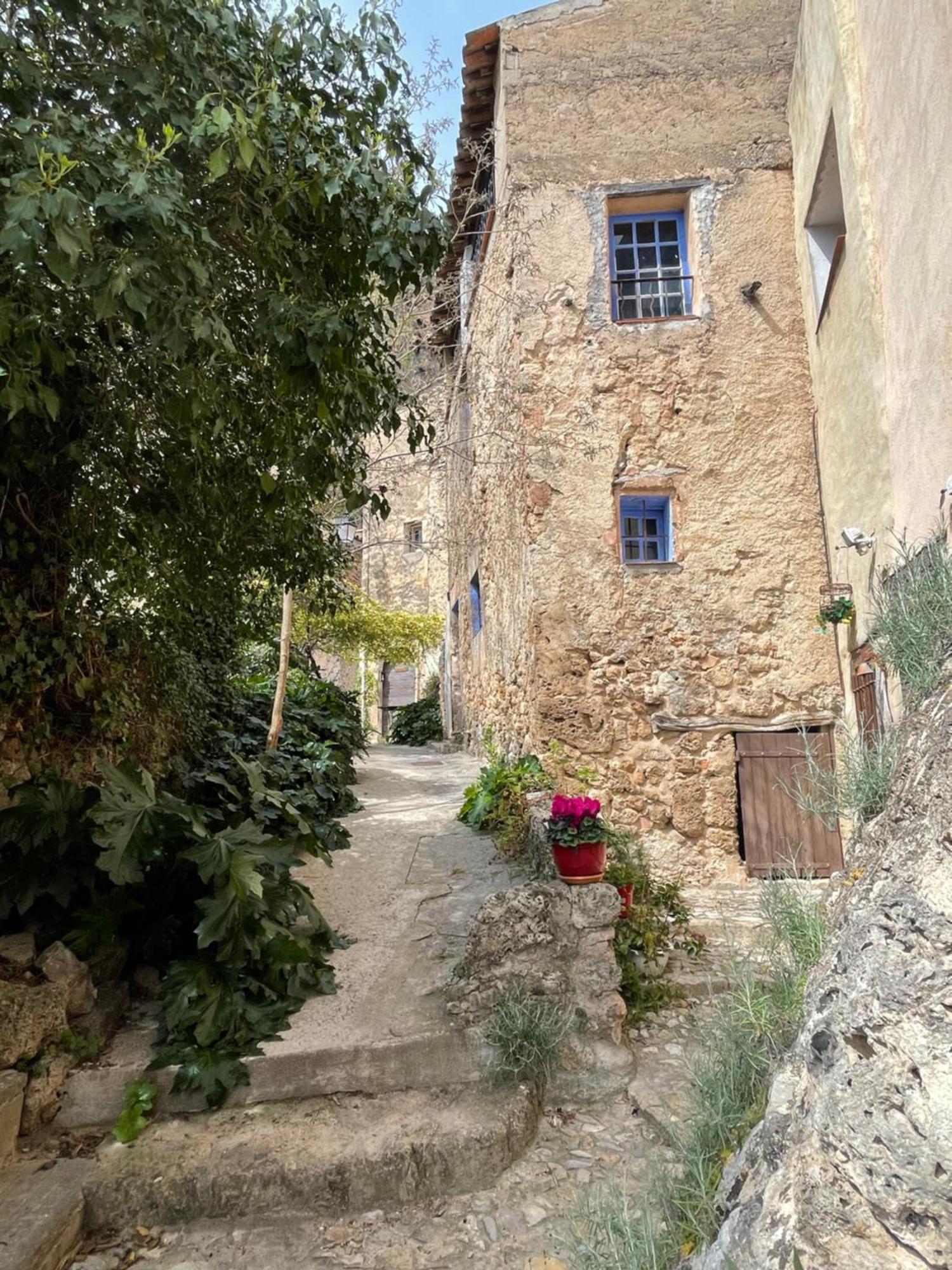 Cosy & Chill Appartements - Au Coeur Du Village De Cotignac, En Provence Eksteriør bilde
